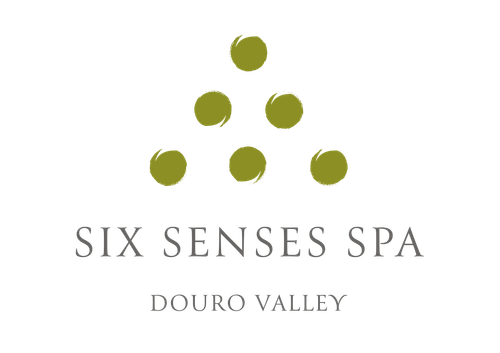 664c1a8a5457ae4aaa04e30b SSSpa Douro Valley standard logo p